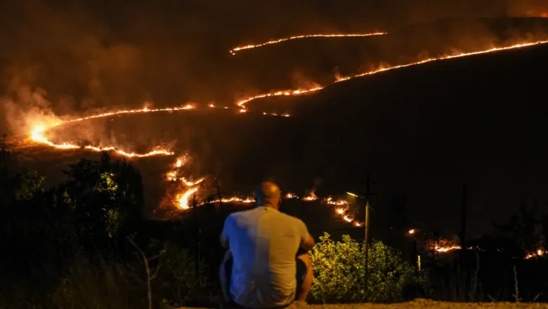 Nevada yangınları