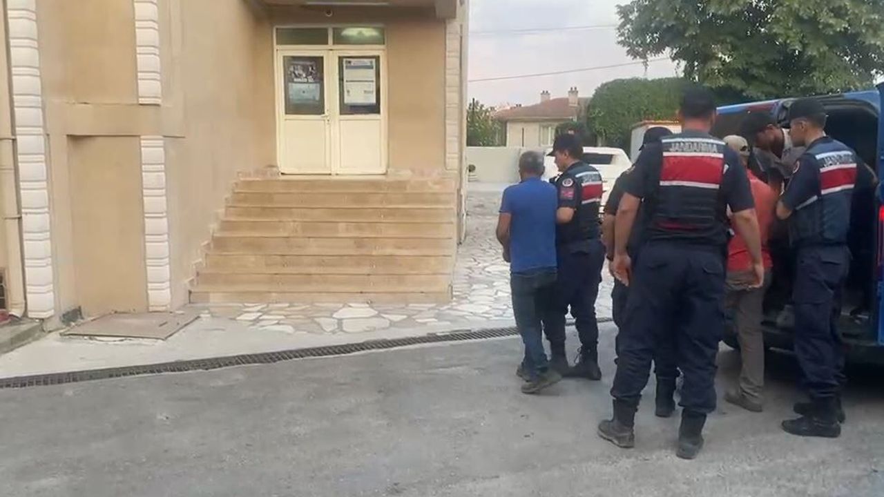 Orman Yangınları Soruşturması