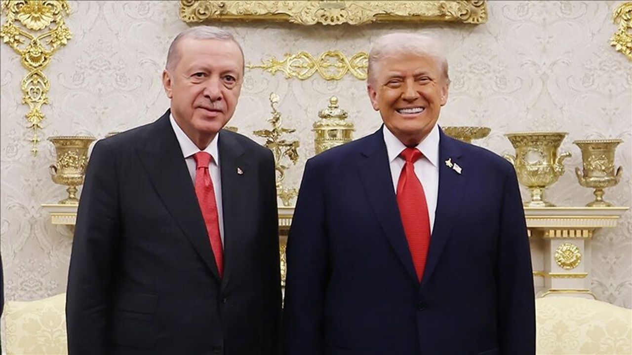 Diplomasi