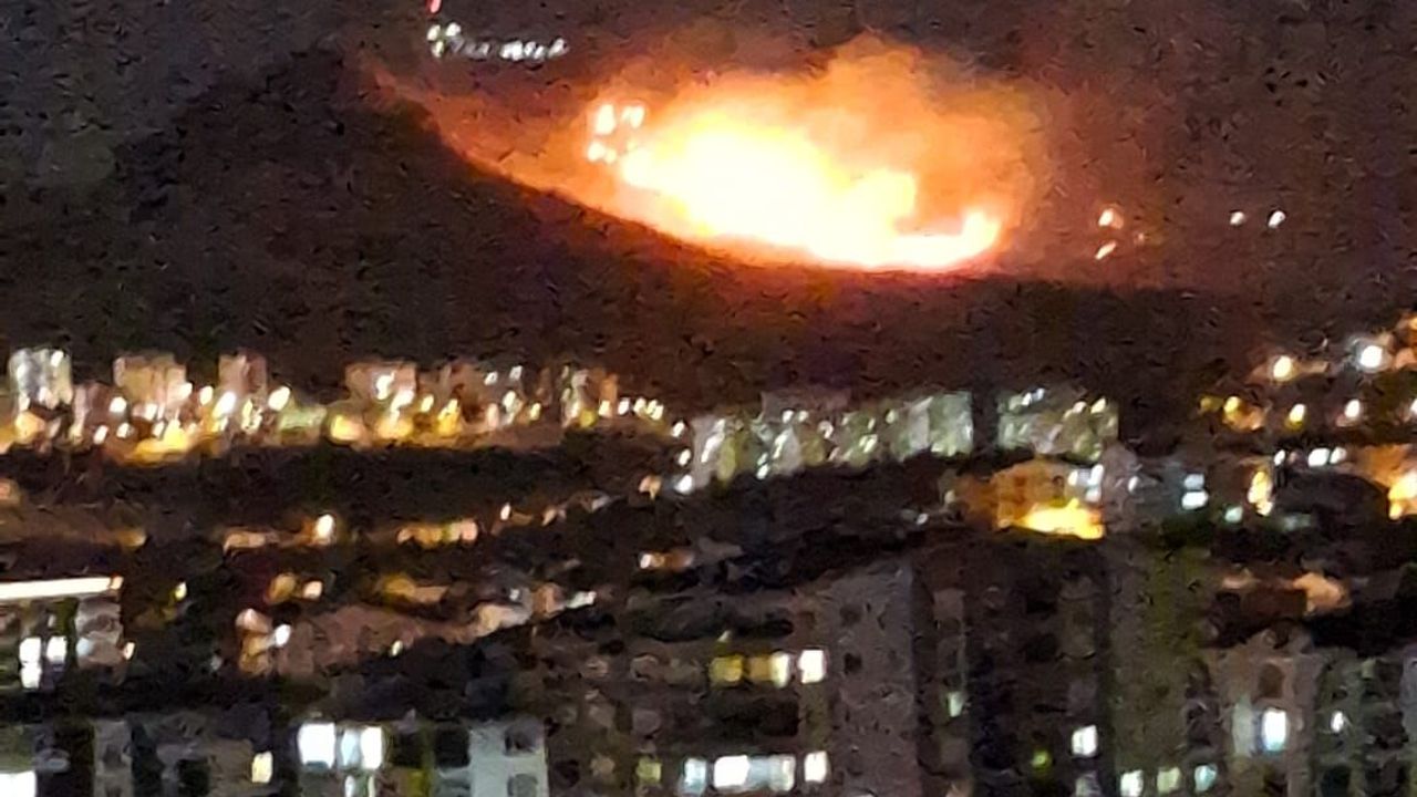 Yangın Paniği